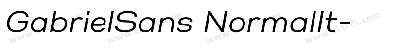 GabrielSans NormalIt字体转换